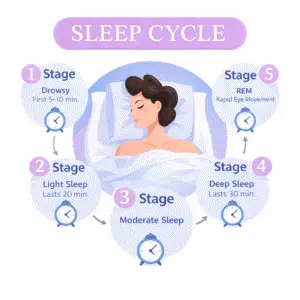 REM Sleep Cycle Calculator